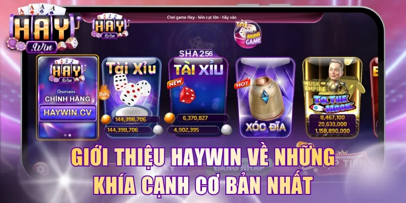 Giới thiệu HayWin về những khía cạnh cơ bản nhất