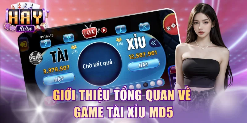Giới thiệu tổng quan nhất về game tài xỉu MD5