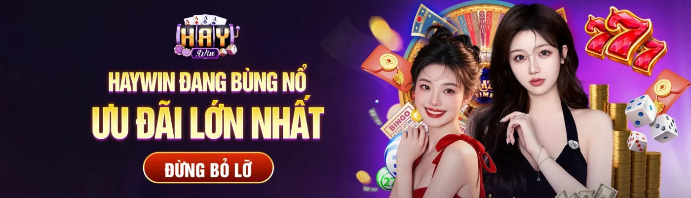 haywin-banner