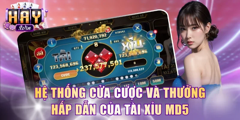 Hệ thống cửa cược và thưởng hấp dẫn của tài xỉu MD5