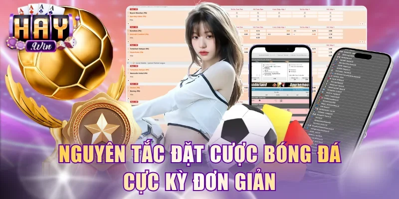 Nguyên tắc đặt cược bóng đá cực kỳ đơn giản
